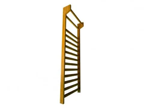 Escalera Sueca mecanoterapia